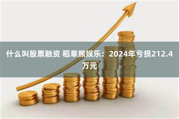 什么叫股票融资 稻草熊娱乐：2024年亏损212.4万元
