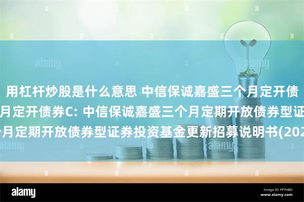 用杠杆炒股是什么意思 中信保诚嘉盛三个月定开债券A,中信保诚嘉盛三个月定开债券C: 中信保诚嘉盛三个月定期开放债券型证券投资基金更新招募说明书(2025年5月)