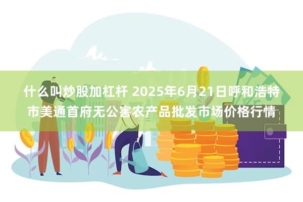 什么叫炒股加杠杆 2025年6月21日呼和浩特市美通首府无公害农产品批发市场价格行情