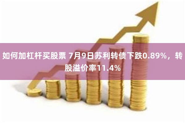 如何加杠杆买股票 7月9日苏利转债下跌0.89%，转股溢价率11.4%