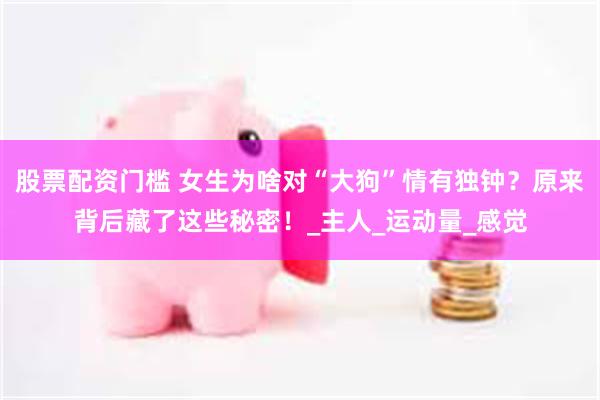 股票配资门槛 女生为啥对“大狗”情有独钟？原来背后藏了这些秘密！_主人_运动量_感觉