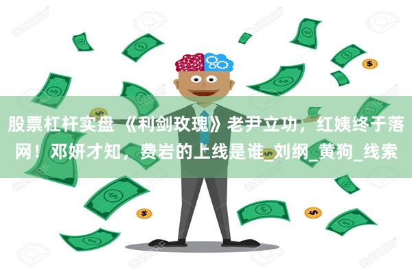 股票杠杆实盘 《利剑玫瑰》老尹立功，红姨终于落网！邓妍才知，费岩的上线是谁_刘纲_黄狗_线索