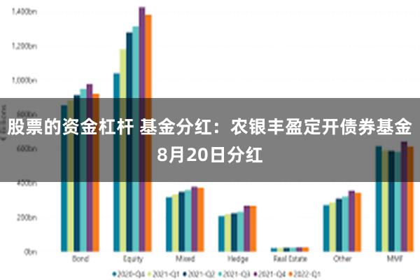 股票的资金杠杆 基金分红：农银丰盈定开债券基金8月20日分红
